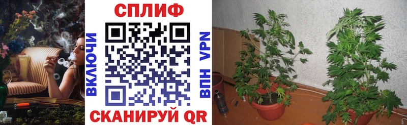 Цена Волосово гидра как войти Героин А ПВП ГАШИШ КОКАИН Меф мяу мяу АМФЕТАМИН