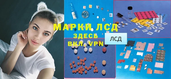 эйфоретик Бородино