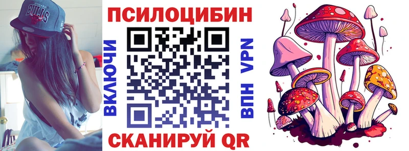 блэк спрут ССЫЛКА  Волосово  Галлюциногенные грибы мицелий 
