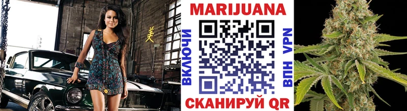 купить  цена  Волосово  Марихуана OG Kush 